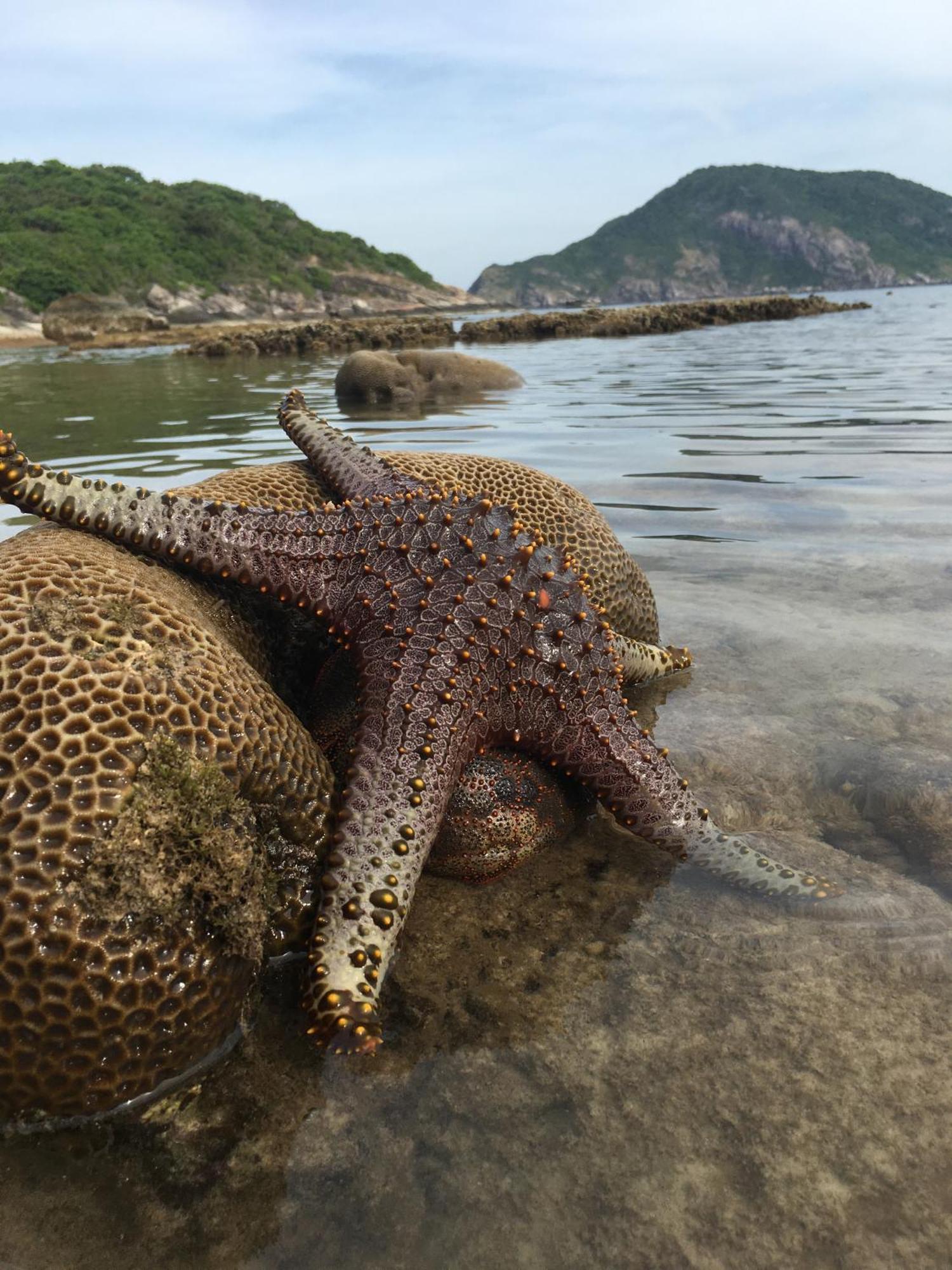 Cham Island Homestay Lau Thu Tan Hiep  ภายนอก รูปภาพ